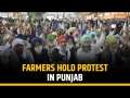 Punjab: Farmers hold protest in Punjab over paddy procurement and other demands