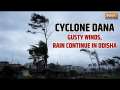 Cyclone Dana hits Odisha's  Dhamra: Gusty winds and heavy rain impact the region