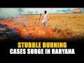 Haryana: Kaithal reports highest stubble burning cases despite govt action and arrests