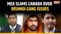 MEA Calls Out Canada: Inaction on Lawrence Bishnoi Gang Unacceptable