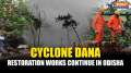 Cyclone Dana: Restoration works continue in Odisha's Bhadrak as NDRF team removes uprooted trees