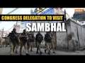 Sambhal Violence: Ajay Rai-led Congress delegation to visit violence-affected region