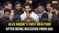 Allu Arjun breaks silence after release from jail, says 'I am sorry, shall support Revathi's family'