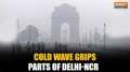 Delhi: Dense fog grips parts of National Capital region as temperature continues to drop