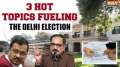 Delhi Assembly Elections 2025: Top 3 issues defining Delhi's election campaign