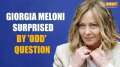 Italian PM Giorgia Meloni gets puzzled by 'Bizarre' question about stepping on ants, she reacts