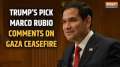 Marco Rubio weighs in on Gaza ceasefire deal as Trump's state secretary nominee