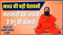 Yoga Tips: How to Protect Yourself From Dengue Fever ? Know From Baba Ramdev