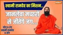 YOGA TIPS:  Watch Home Remedies for Dengue Treatment by Baba Ramdev 