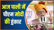 PM Modi Rally In Rajasthan: PM Narendra Modi addresses a public meeting in Pali