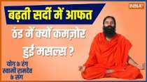Yoga Tips: How to reduce fatty liver risk; Know From Baba Ramdev