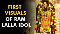First visuals of the Ram Lalla idol at the Shri Ram Janmaboomi Temple in Ayodhya