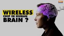 Elon Musk's Neuralink implants brain chip in human for first time, how will this help?