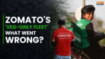 Zomato Controversy: What Went Wrong With 'Zomato Veg-Only Fleet', How CEO Deepinder Goyal React?