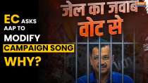 AAP Campaign Song: What objections did poll body raise to 