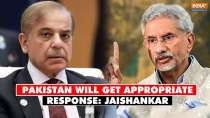 Will get appropriate response: S Jaishankar warns Pakistan over cross-border terrorism