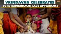 Lord Radharaman Lal's Festival: Vrindavan celebrates Lord Radharaman appearance with pomp