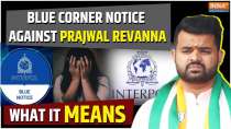 Prajwal Revanna: Blue Corner Notice issued against JD(S) Leader, How will it help locate Revanna?