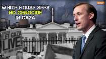 Gaza Genocide: Jake Sullivan says we do not believe genocide is occurring in Gaza 