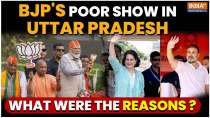 Lok Sabha Polls 2024: Why BJP put up poor show in Uttar Pradesh? Party