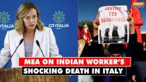 MEA on Indian worker's shocking death in Italy: 'We call for human treatment of workers'