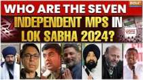 7 Independent Lok Sabha MPs and Their Relationship with NDA and UPA Alliances | Narendra Modi Oath