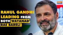 Rahul Gandhi leading from Wayanad and Rae Bareli | Lok Sabha Polls 2024