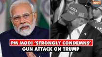 PM Modi condemns Donald Trump Gun attack: "Violence has no place in politics"