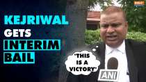 Kejriwal Interim Bail: CM Kejriwal's lawyer Rishikesh Kumar says, 'this a great victory'