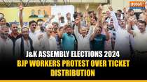 J&K Assembly Elections 2024: BJP workers protest over ticket distribution