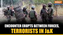 J&K: Fresh encounter breaks out between forces and terrorists in Kishtwar, search ops launched