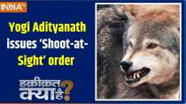 Haqiqat Kya Hai : Shoot at sight order issued to fight wolf menace in UP 