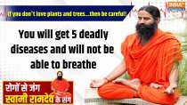 Yoga, 26 September : Weak lungs due to decreasing greenery...heart and liver will be at high risk