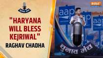 India TV Chunav Manch: Haryana will bless Kejriwal or give him key to next govt, says Raghav Chadha