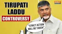 Tirupati Laddu Row: Strict action will be taken against offenders, says Andhra CM