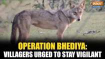 Operation Bhediya: Officials constantly patrolling in Bahraich, ask villagers to stay vigilant