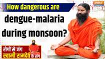 Yoga: How dangerous are dengue and malaria during monsoon?