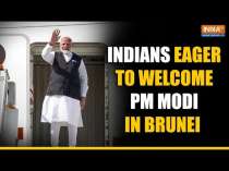 PM Modi in Brunei: Members of Indian Diaspora eager to welcome their 