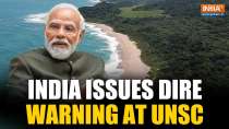 India issues dire warning at UNSC: Thousands of kilometres of coastline could disappear underwater