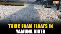 Delhi: Toxic foam floats in Yamuna River amid Delhi's soaring pollution level