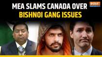 MEA Calls Out Canada: Inaction on Lawrence Bishnoi Gang Unacceptable