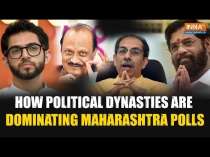 Maharashtra Assembly Elections 2024: How Much Influence Do Political Dynasties Have in Elections