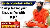 Yoga, 01 Nov 2024: Red alert of pollution in Delhi-NCR... 10 ways to keep your lungs perfect with yoga?