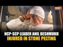 Maharashtra Elections: NCP-SCP leader Anil Deshmukh injured in stone pelting incident in Nagpur