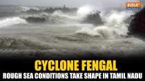 Cyclone Fengal: Tamil Nadu faces rough seas, deep depression likely to form storm