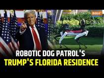 Robotic Dog Spotted Patrolling Outside Donald Trump