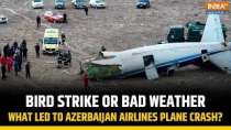 Kazakhstan Plane Crash: Bad weather or bird strike? What went wrong with Azerbaijan airlines plane