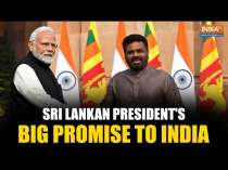 India-Sri Lanka Ties: Sri Lankan President Anura Kumara Dissanayake Makes Big Promise To PM Modi