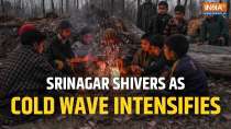 Srinagar shivers as cold wave intensifies, locals and tourists battle subzero temperatures