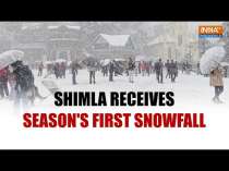 Himachal Pradesh: Shimla receives season's first snowfall  